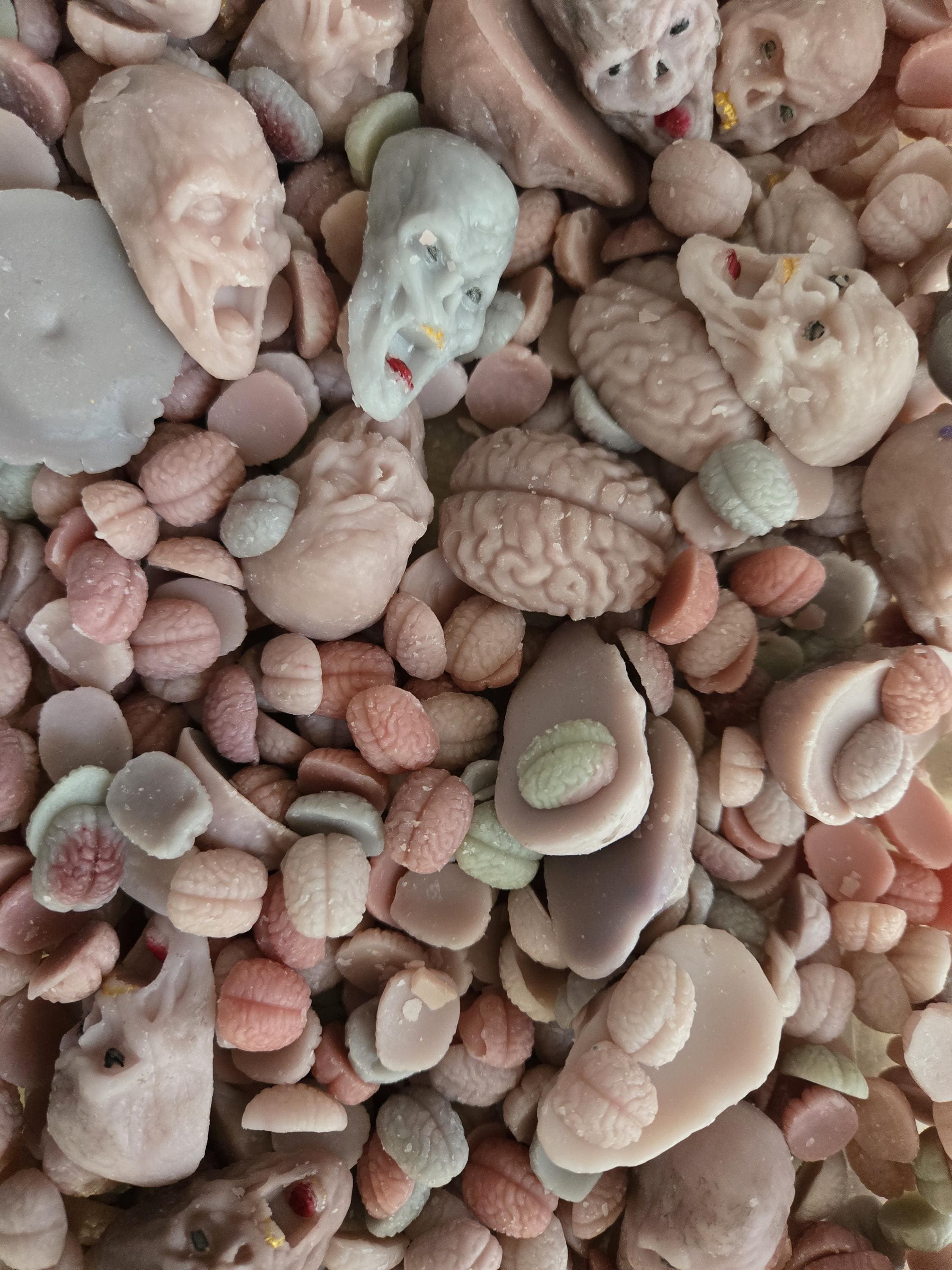 Spooky Skull & Brain Melts- Scented Wax Melts