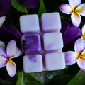 Plumeria Wax Melt – Tropical Jasmine & Sandalwood Scent