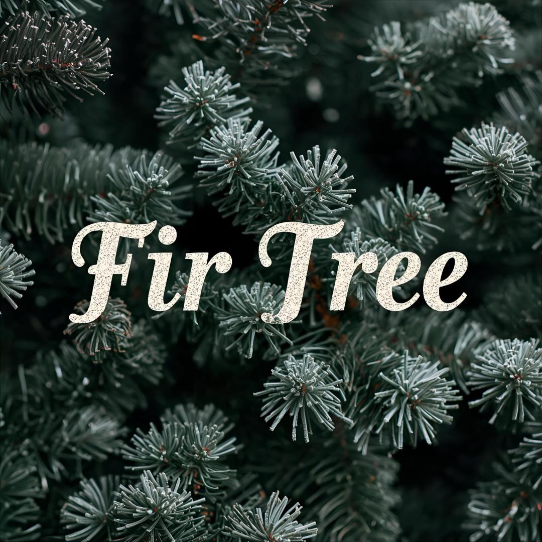 Fir Tree Wax Melt | Crisp Evergreen + Winter Woods | Classic Christmas Tree Scent